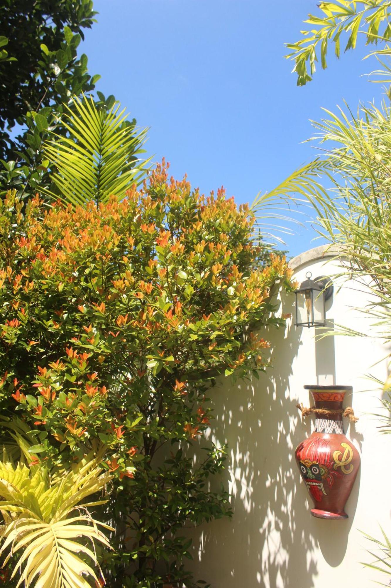 Villa Olde Ceylon Kandy Ngoại thất bức ảnh