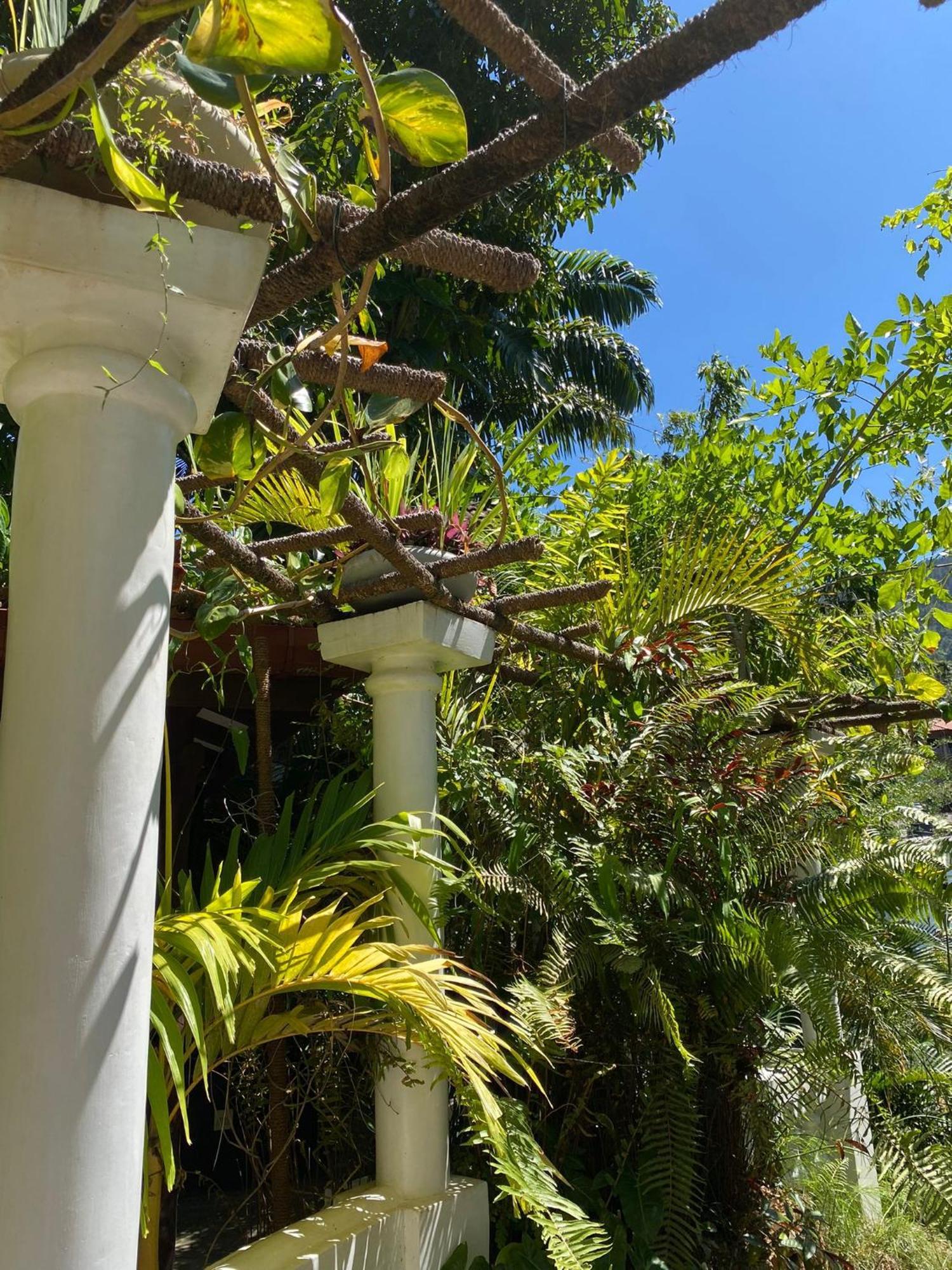 Villa Olde Ceylon Kandy Ngoại thất bức ảnh